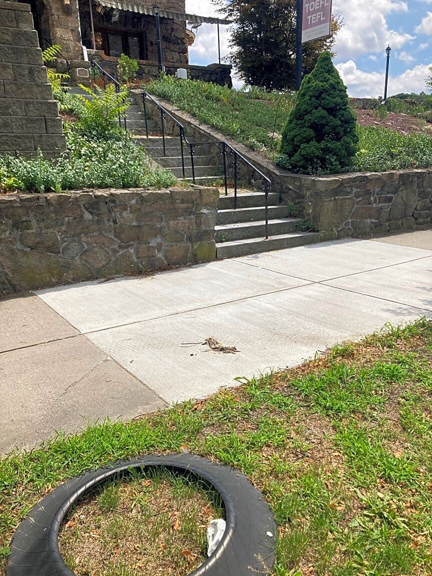 Image submitted with report