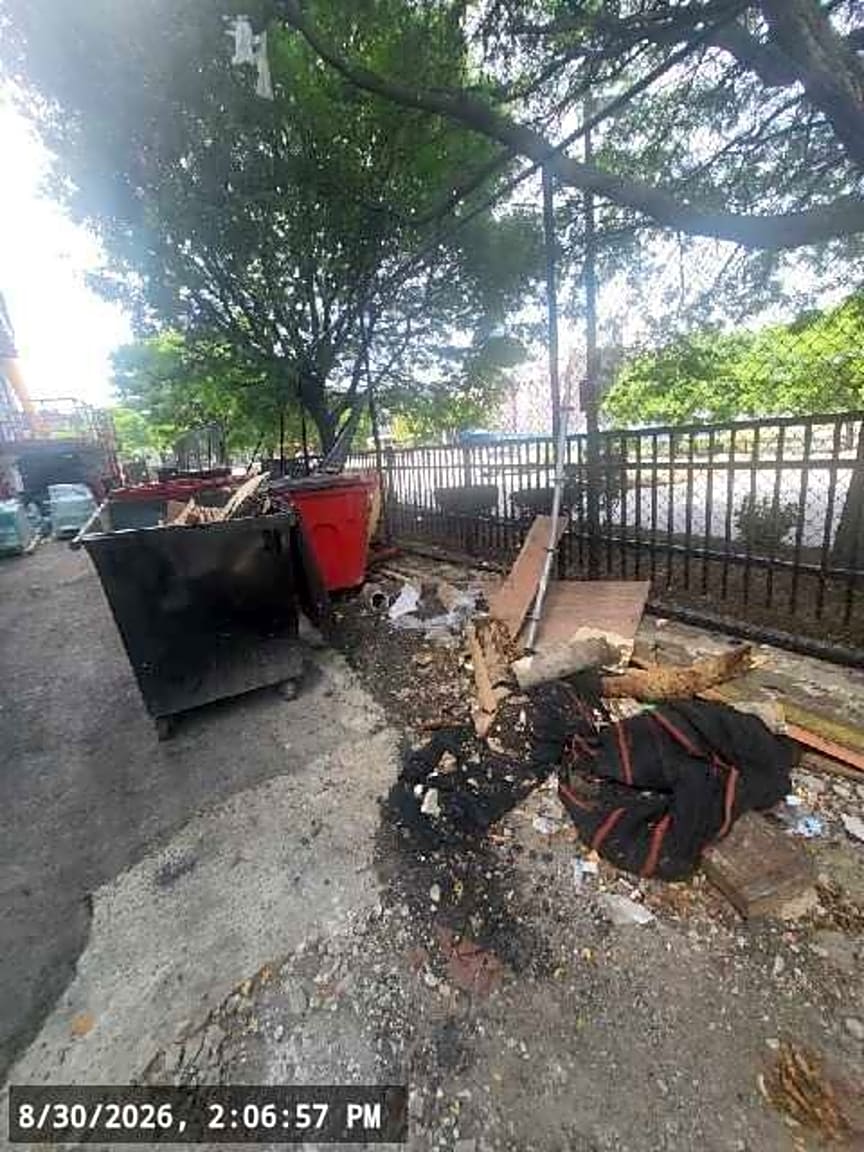 Image submitted with report