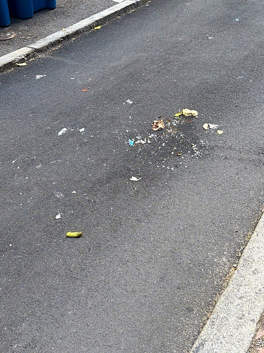 Image submitted with report