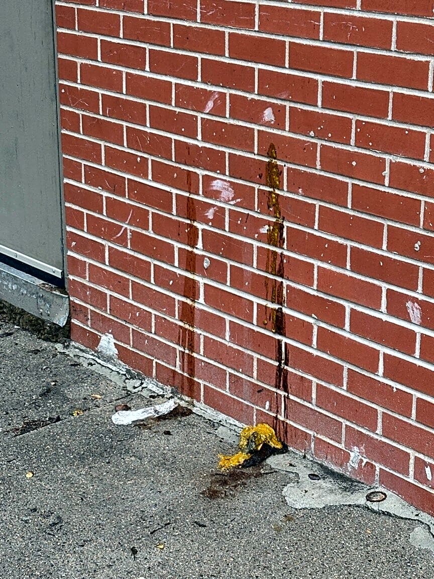 Image submitted with report