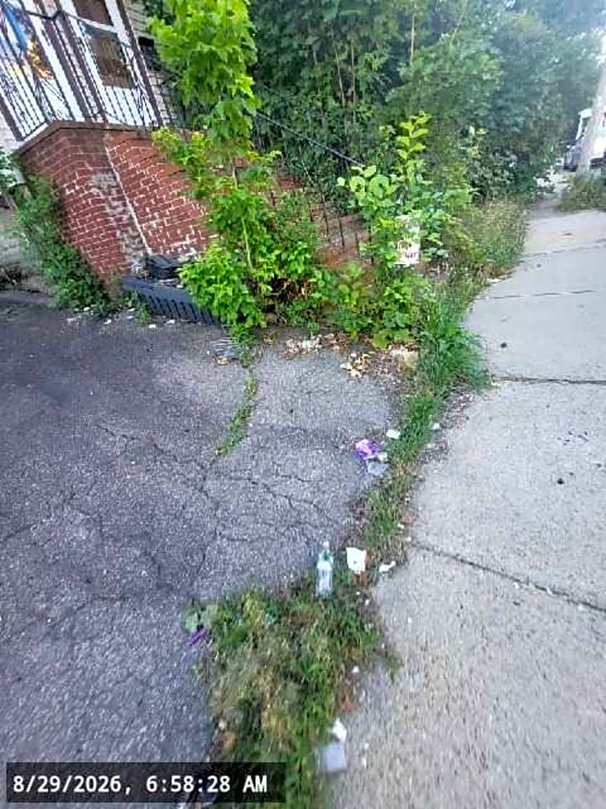Image submitted with report