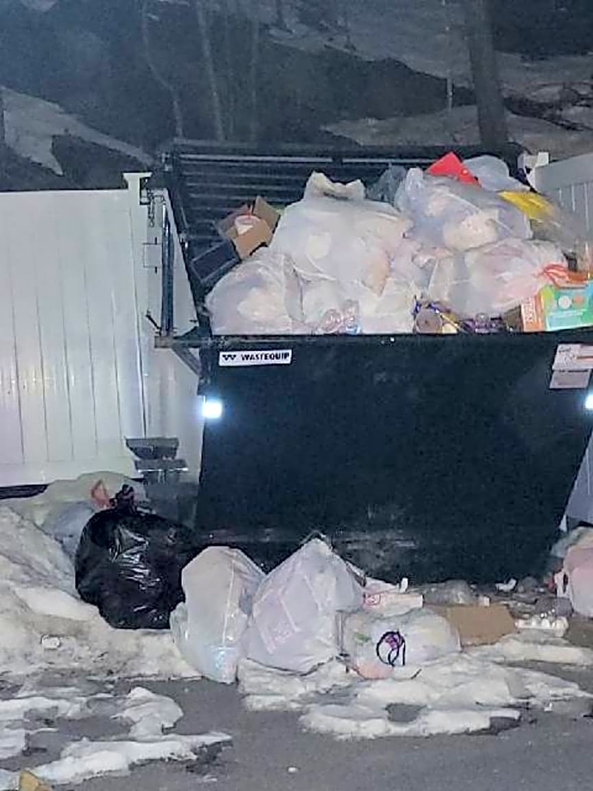 Image submitted with report