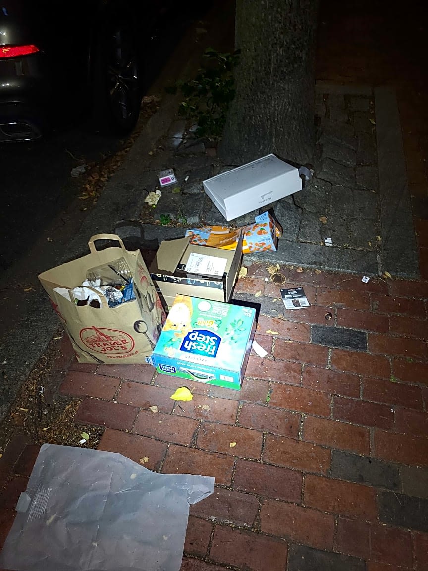 Image submitted with report