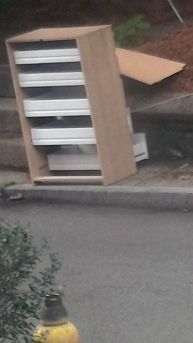 Image submitted with report