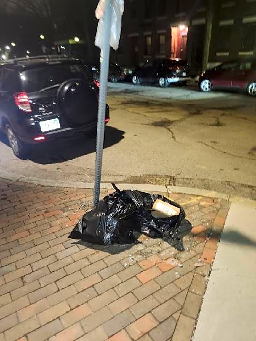 Image submitted with report