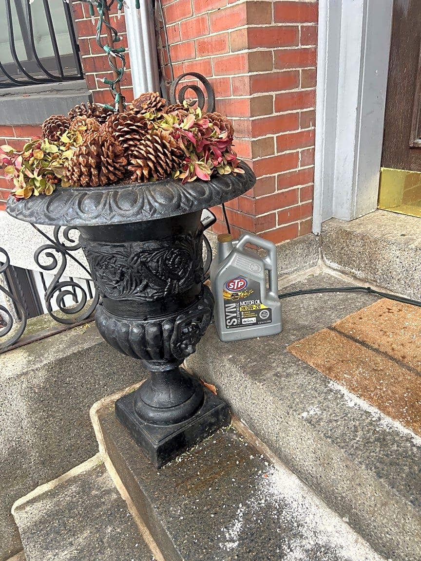 Image submitted with report