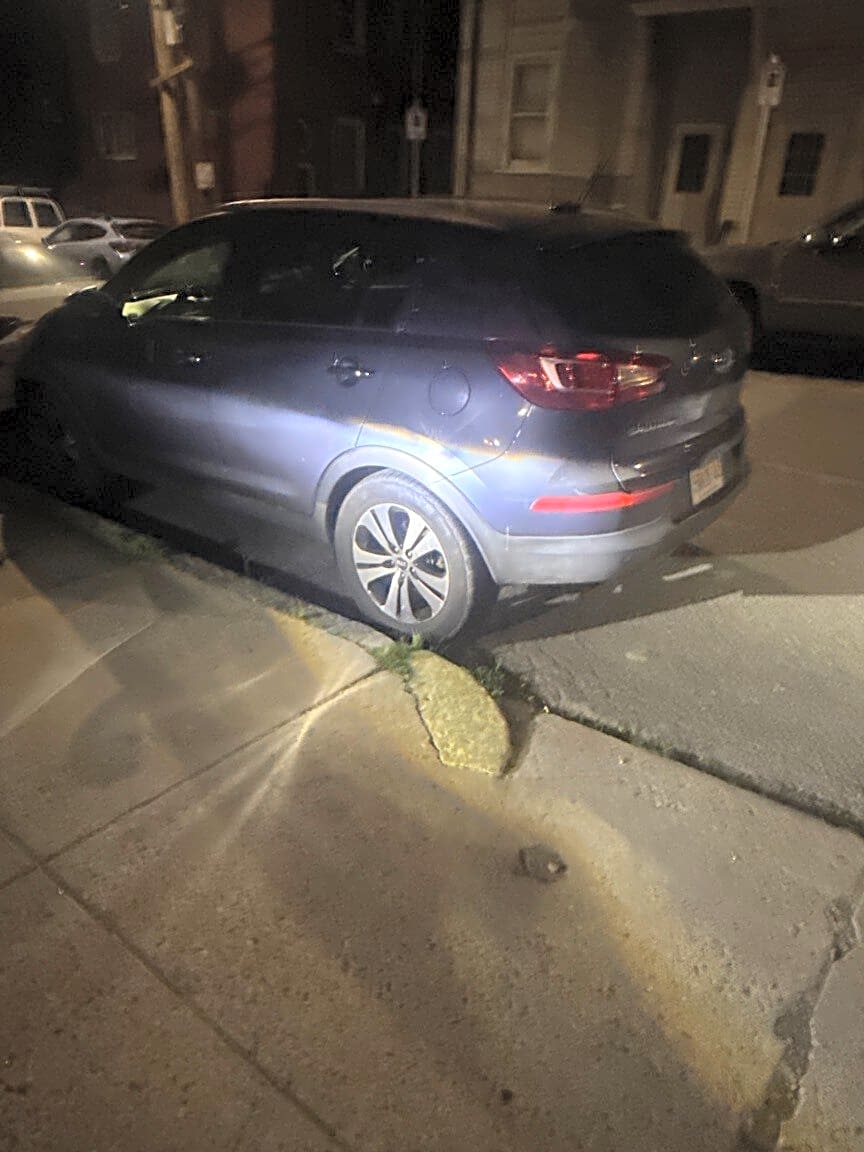 Image submitted with report