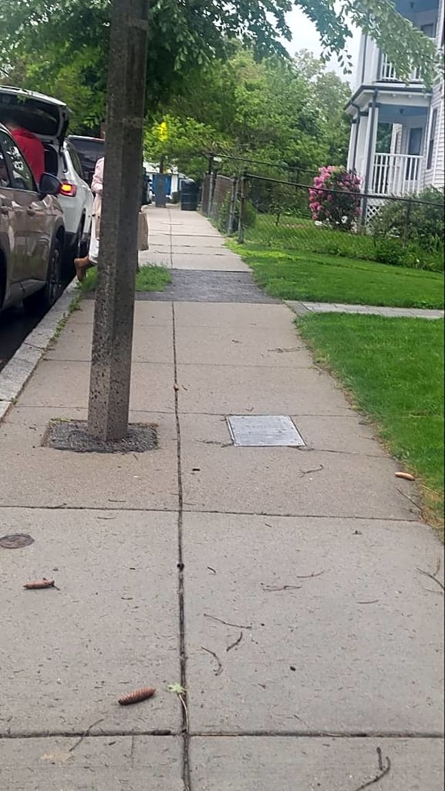 Image submitted with report