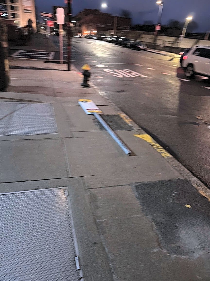 Image submitted with report