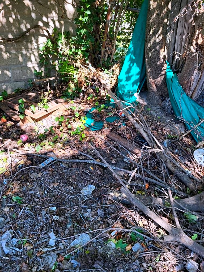 Image submitted with report