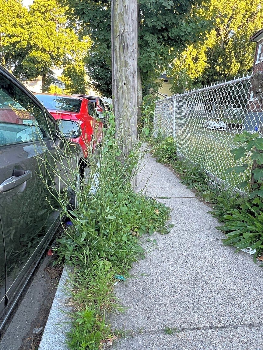 Image submitted with report