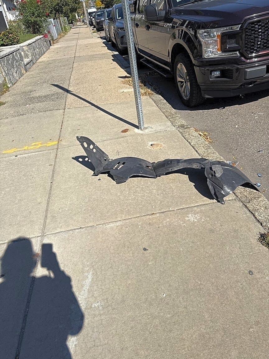 Image submitted with report
