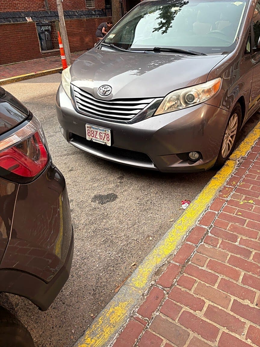 Image submitted with report
