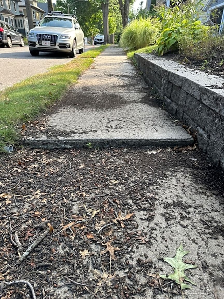 Image submitted with report