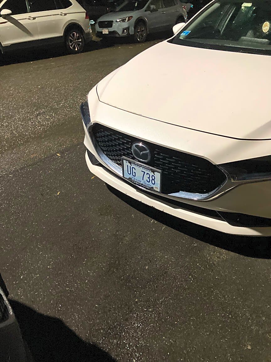 Image submitted with report