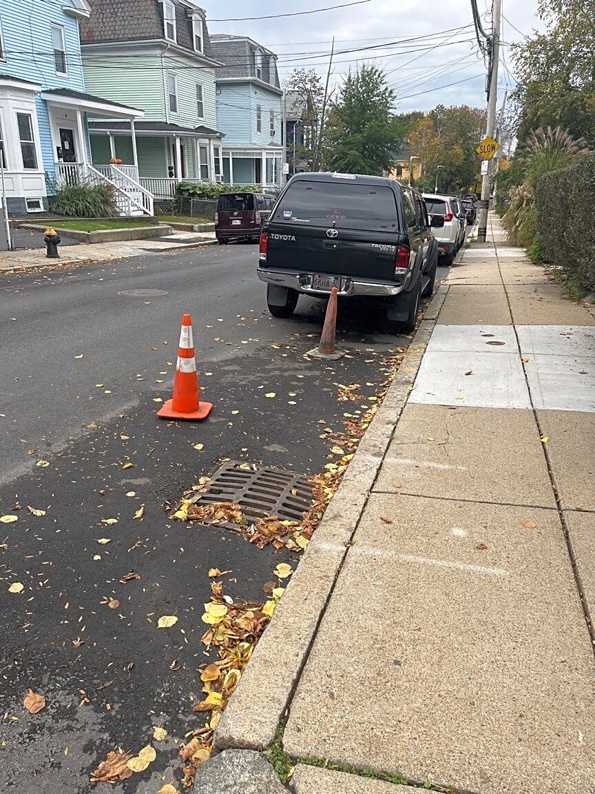 Image submitted with report