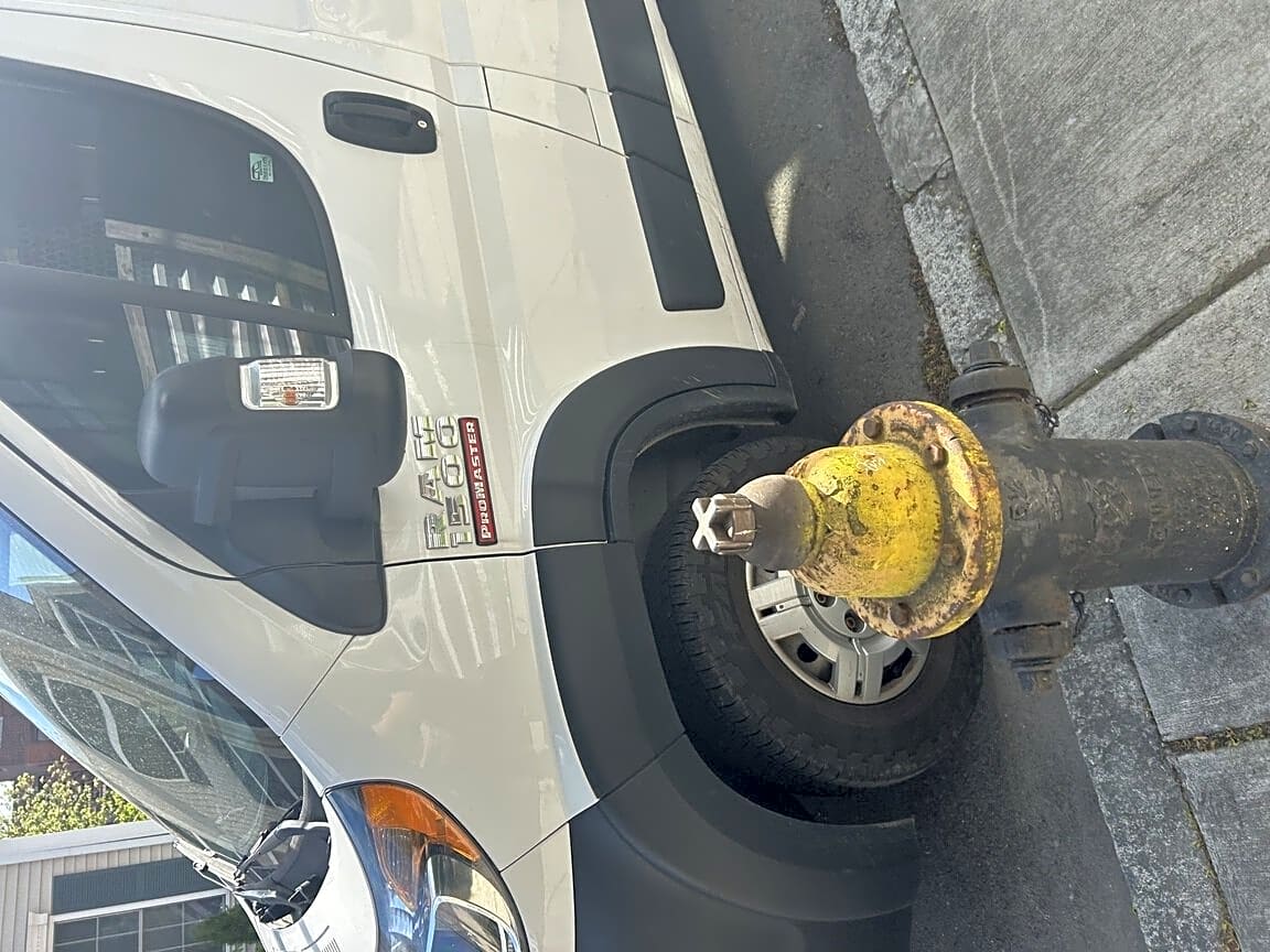 Image submitted with report