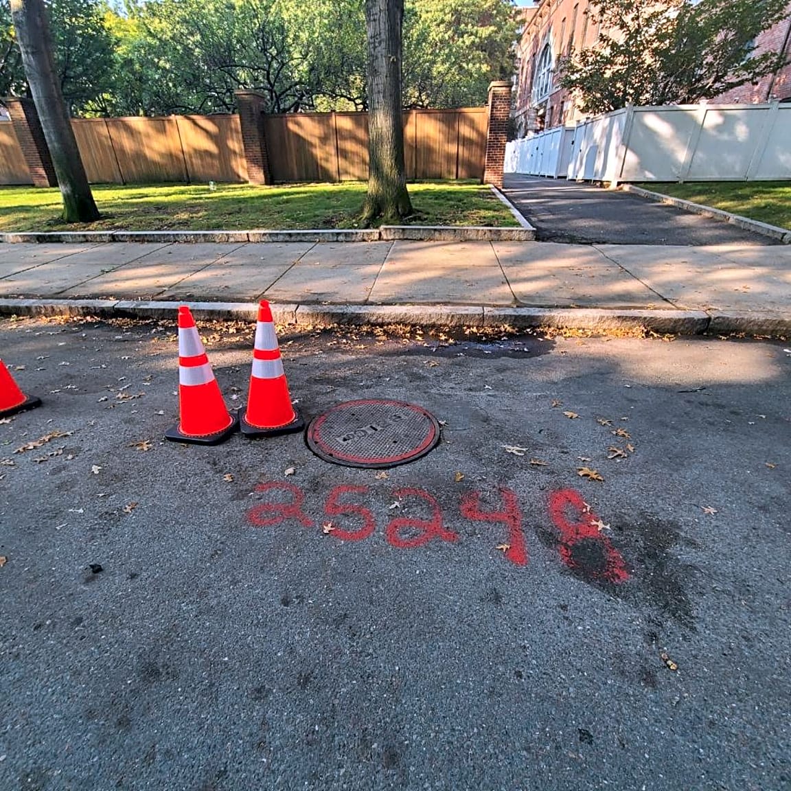 Image submitted with report