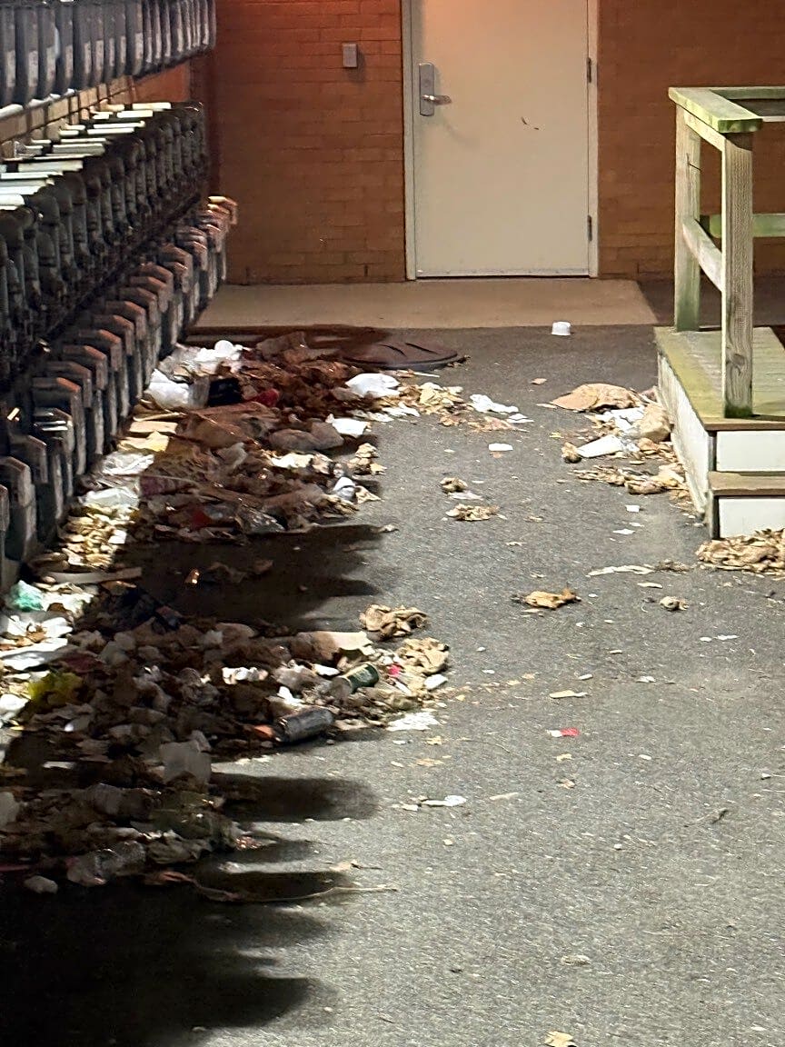 Image submitted with report