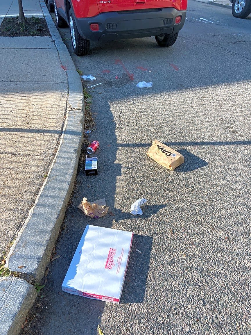 Image submitted with report
