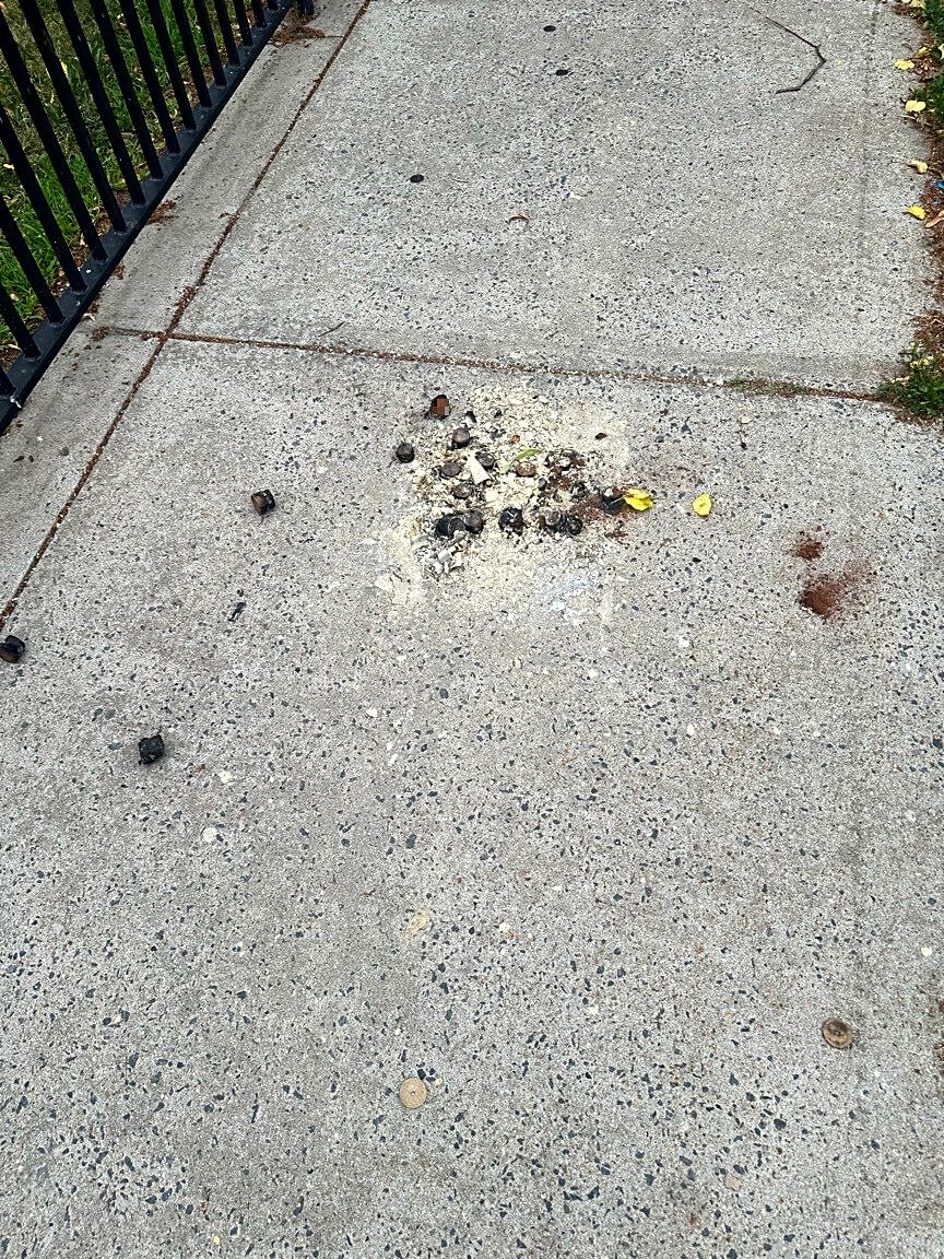 Image submitted with report