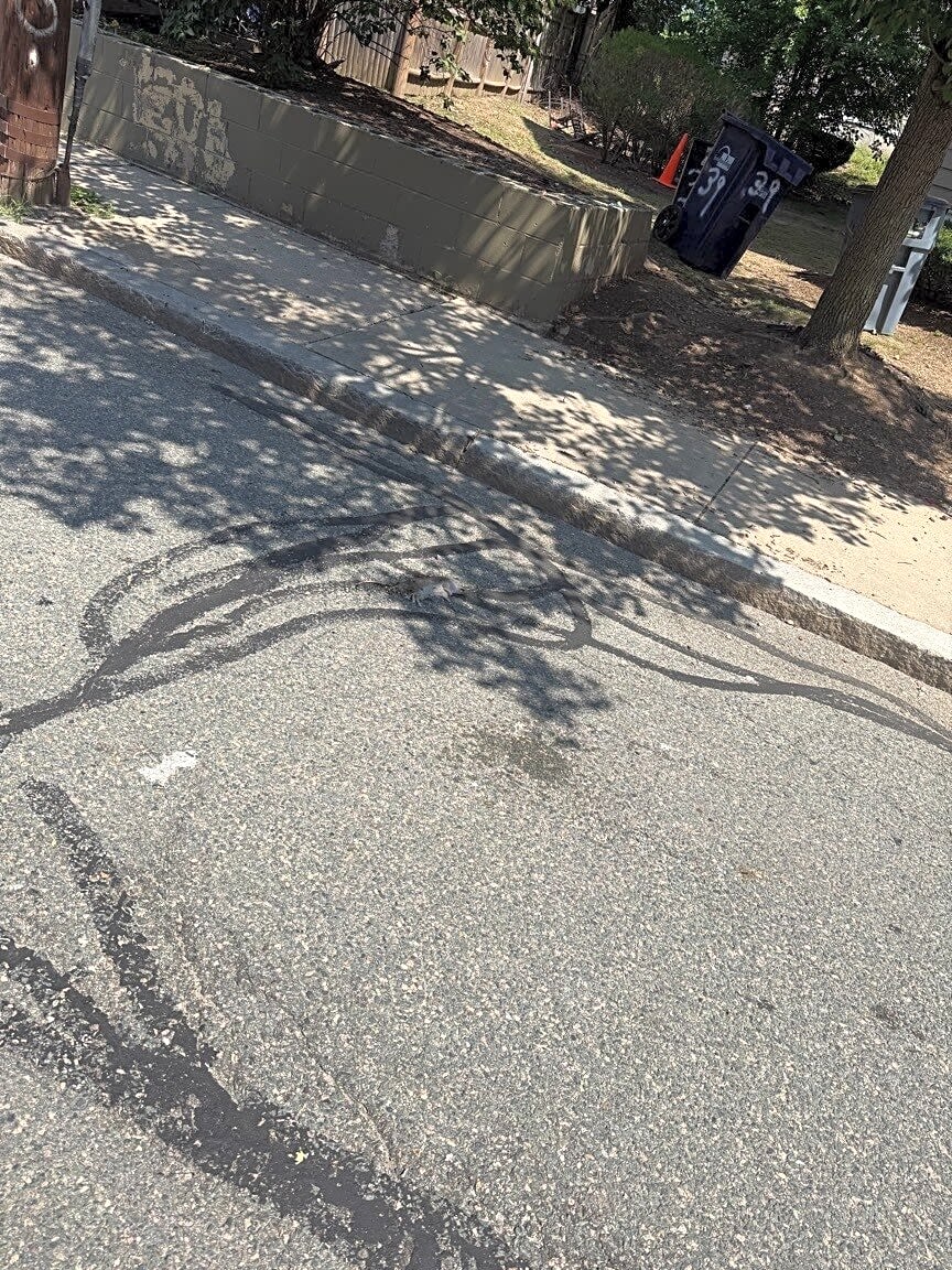 Image submitted with report