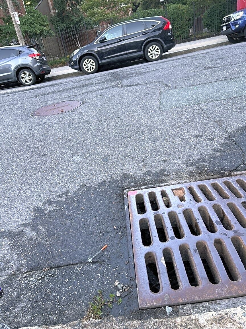 Image submitted with report
