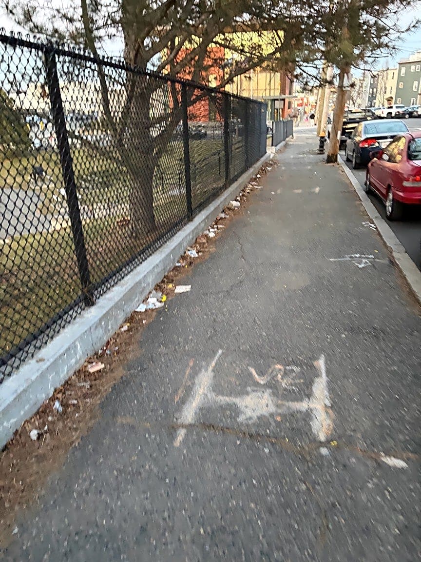 Image submitted with report