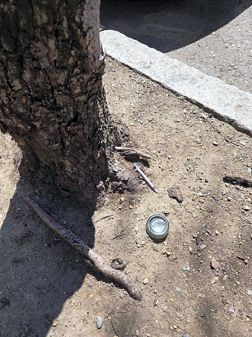 Image submitted with report