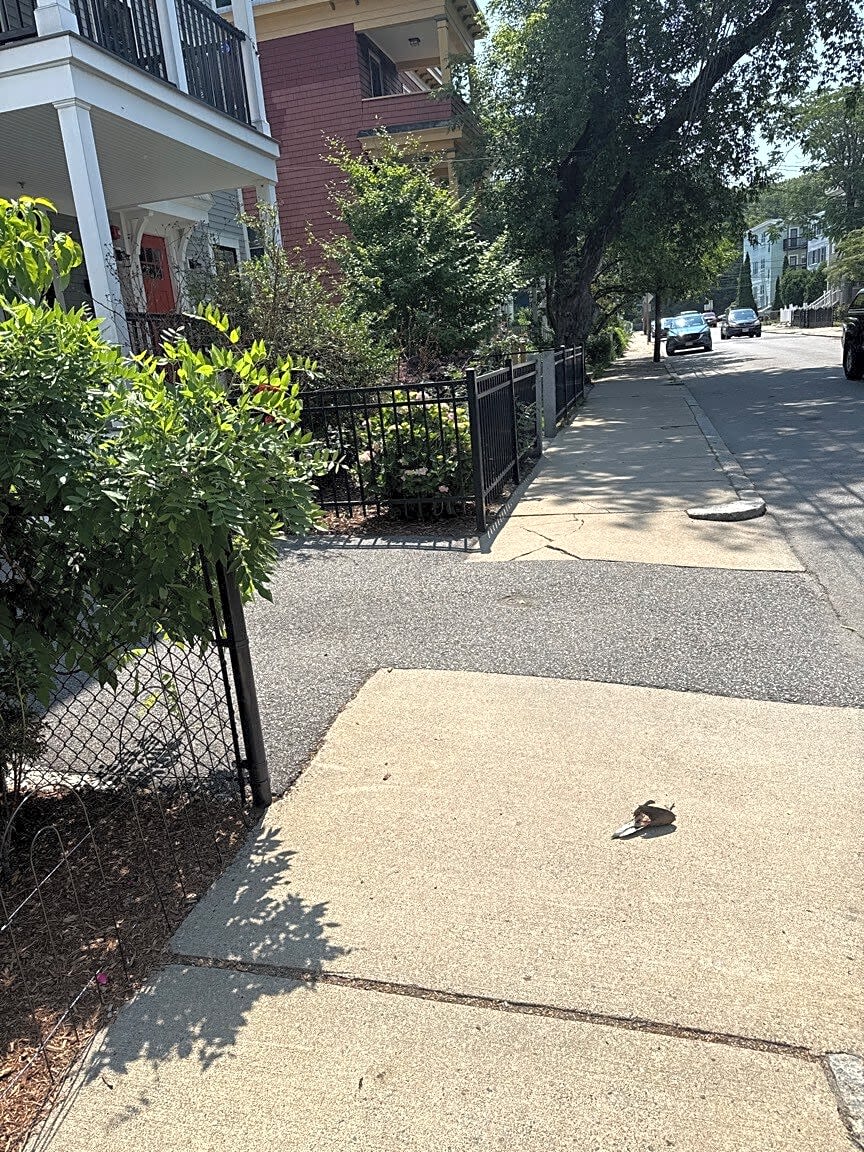 Image submitted with report