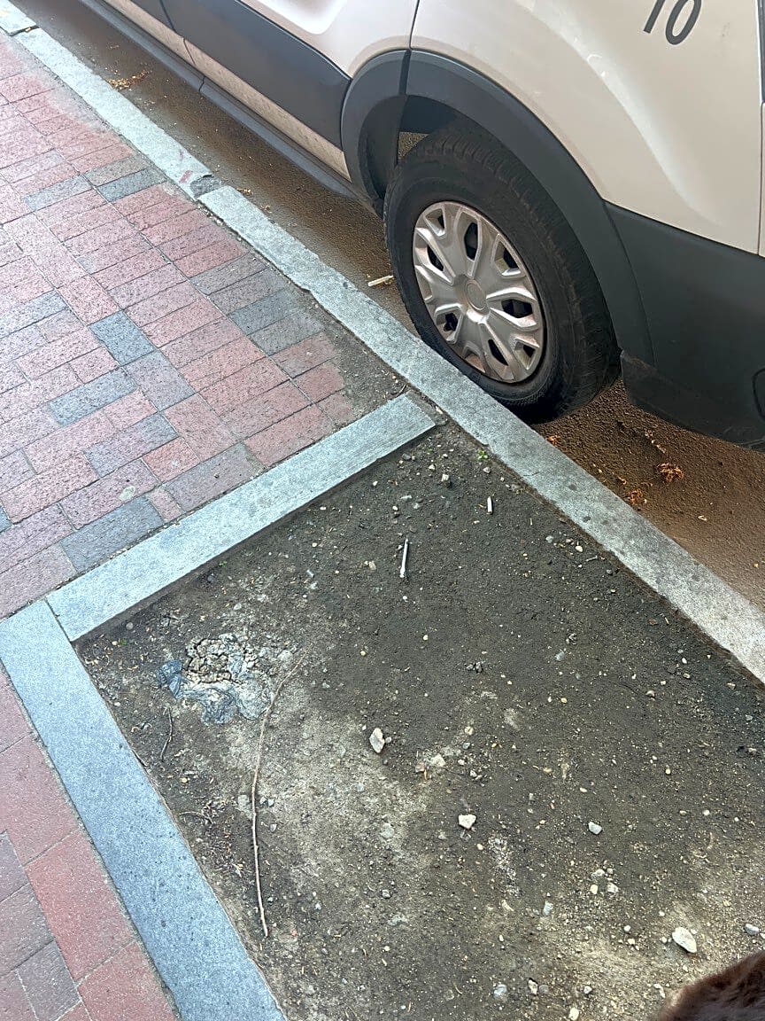 Image submitted with report