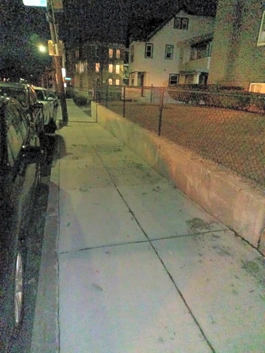 Image submitted with report