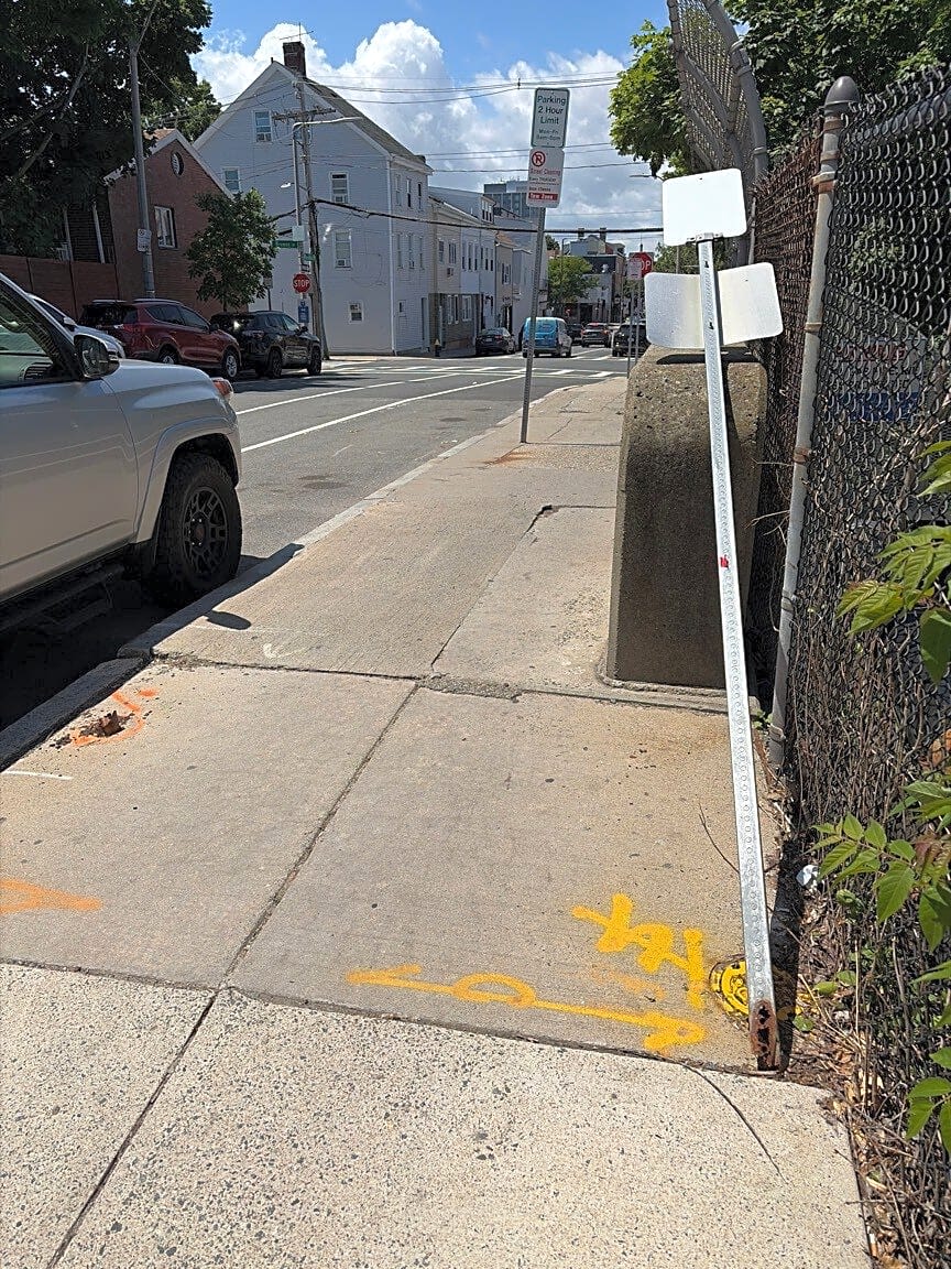 Image submitted with report