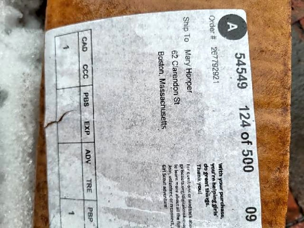 Image submitted with report