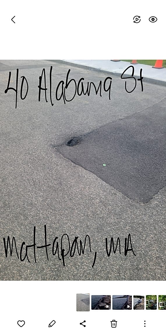 Image submitted with report