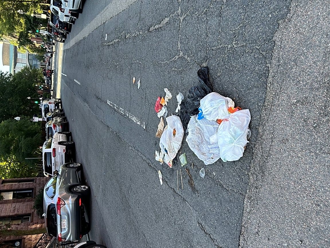 Image submitted with report