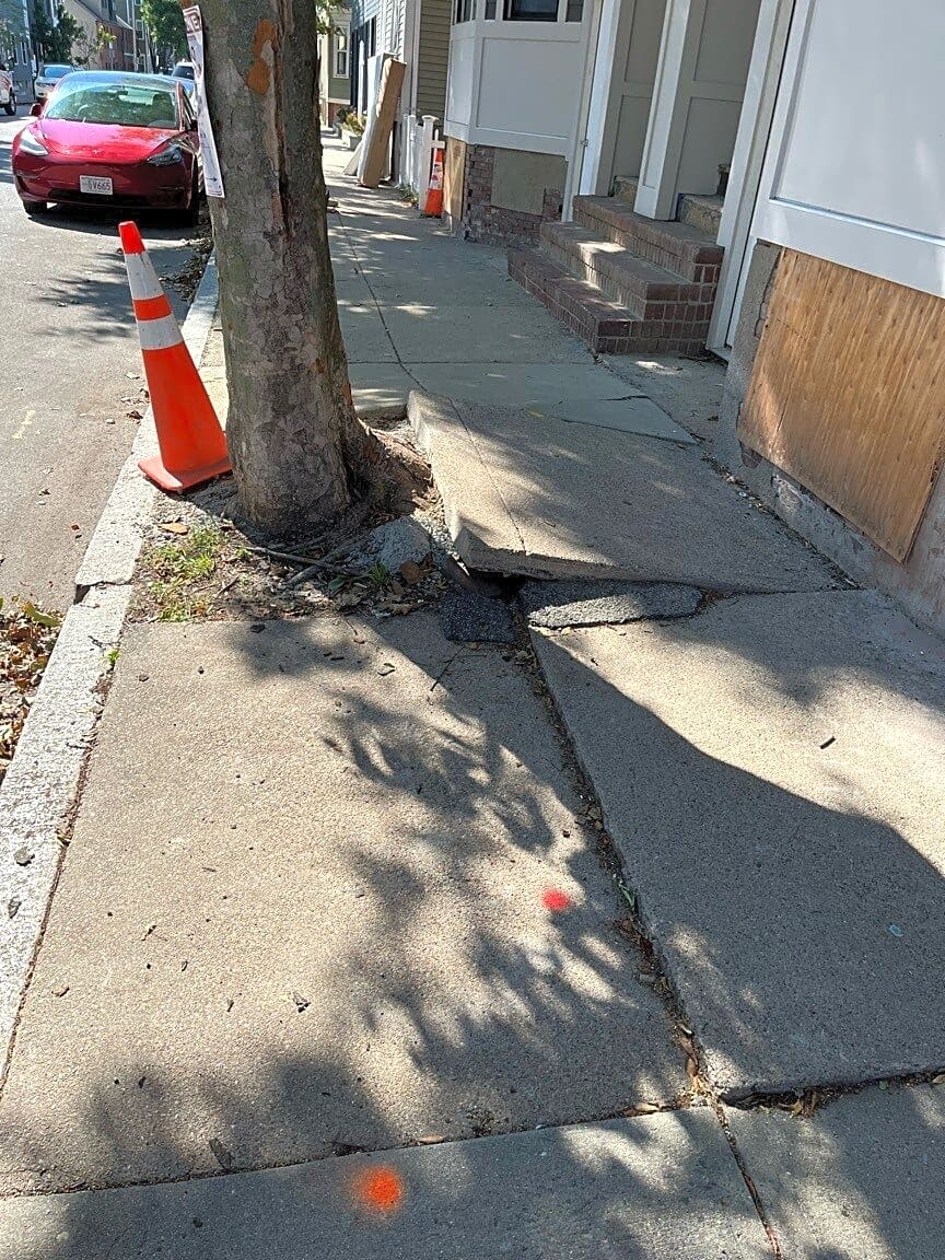 Image submitted with report