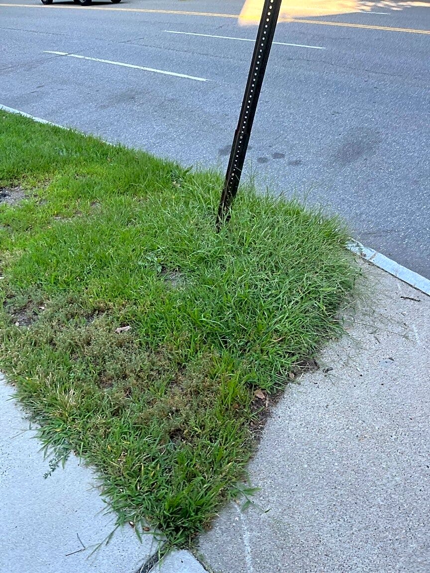 Image submitted with report