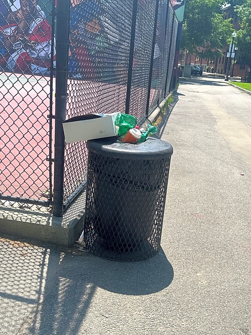 Image submitted with report