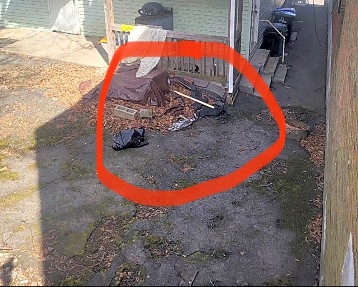 Image submitted with report