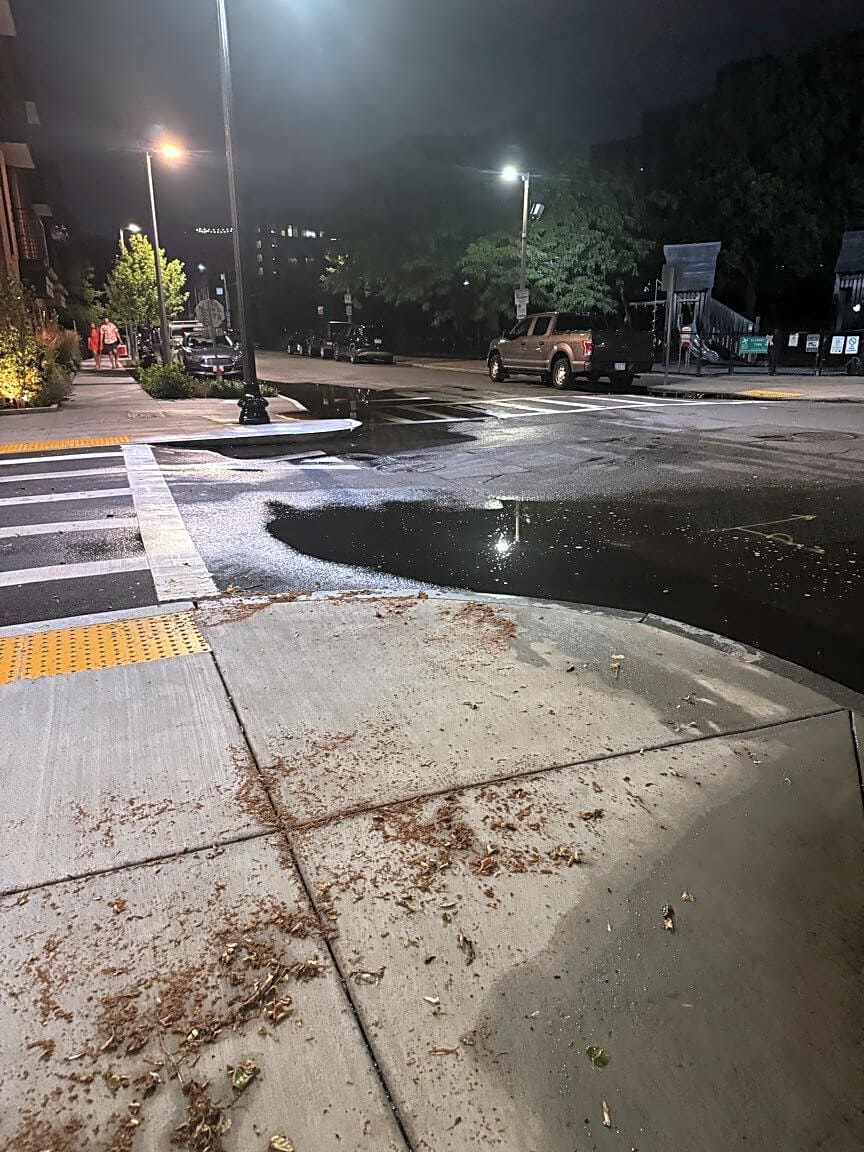 Image submitted with report