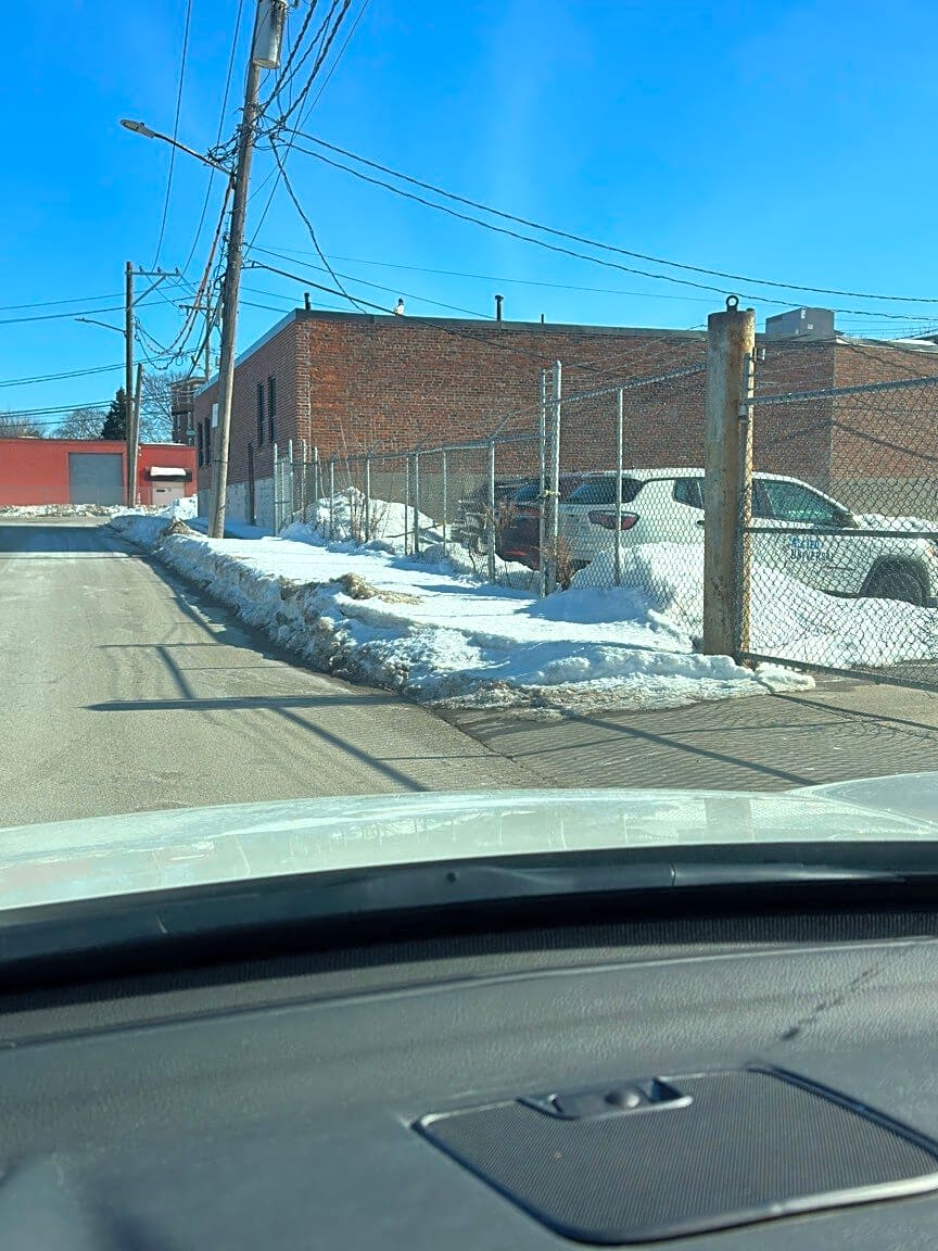 Image submitted with report