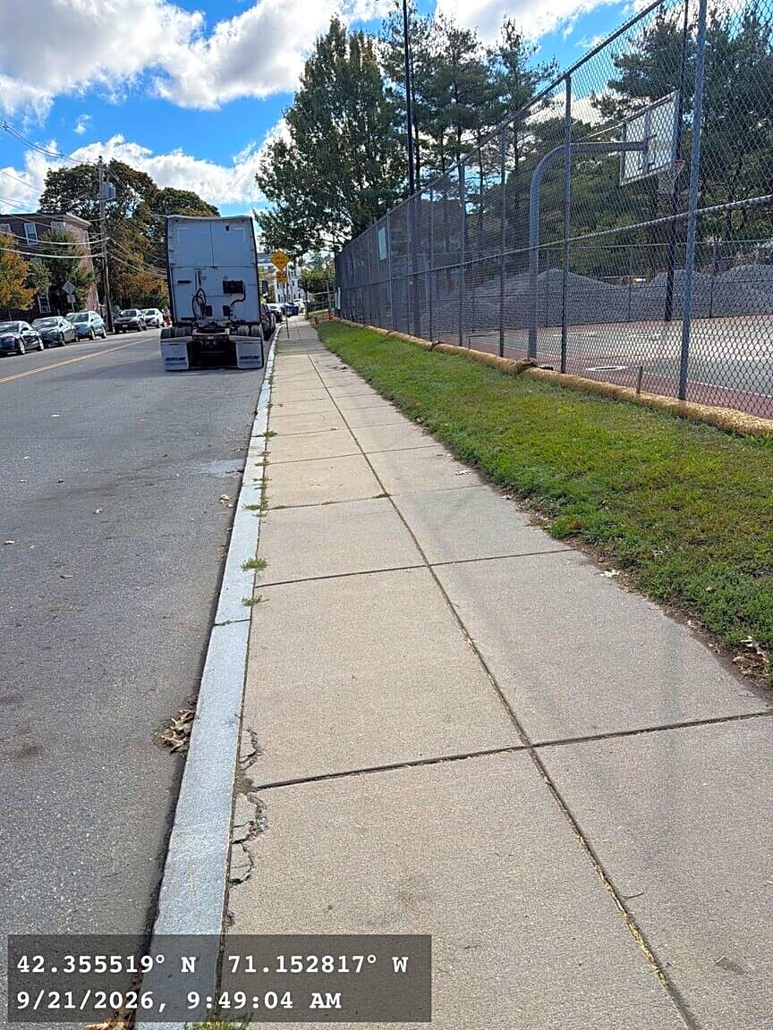 Image submitted with report