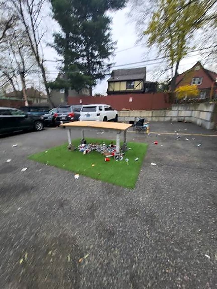 Image submitted with report