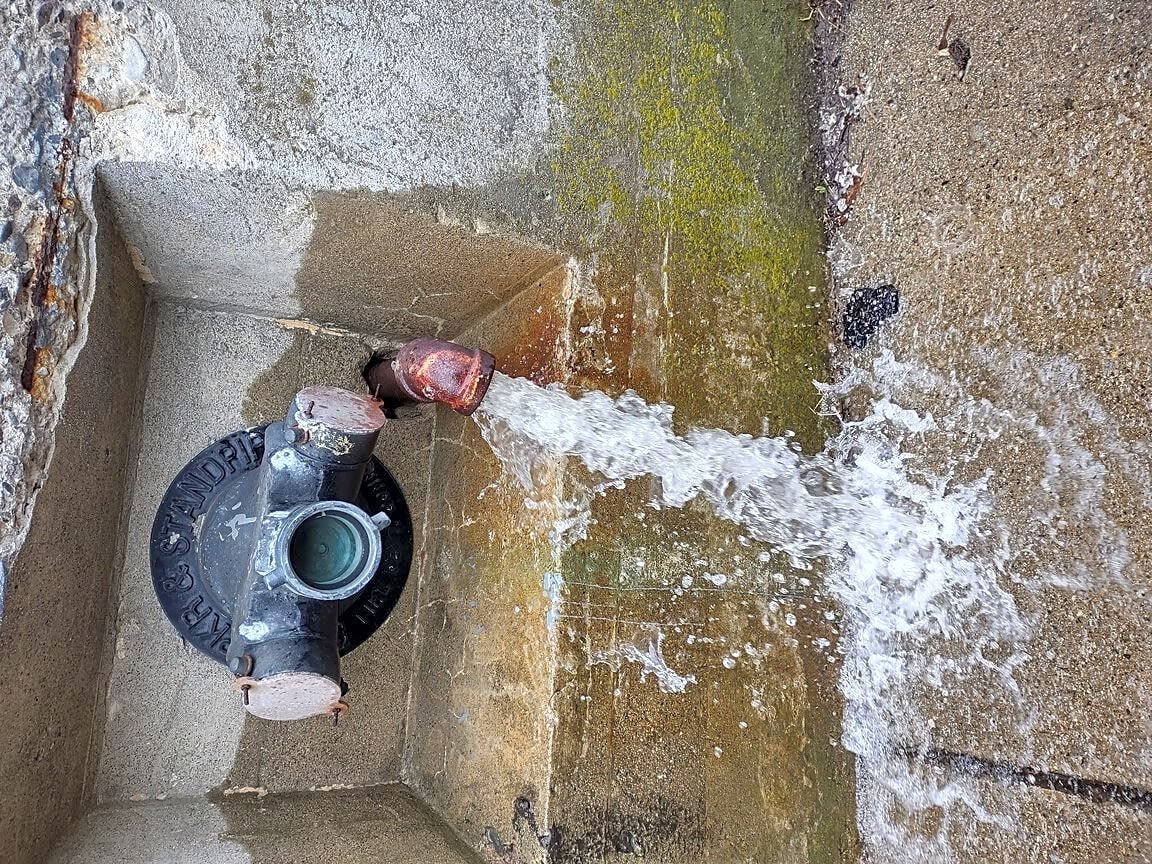 Image submitted with report