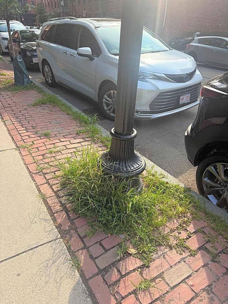 Image submitted with report