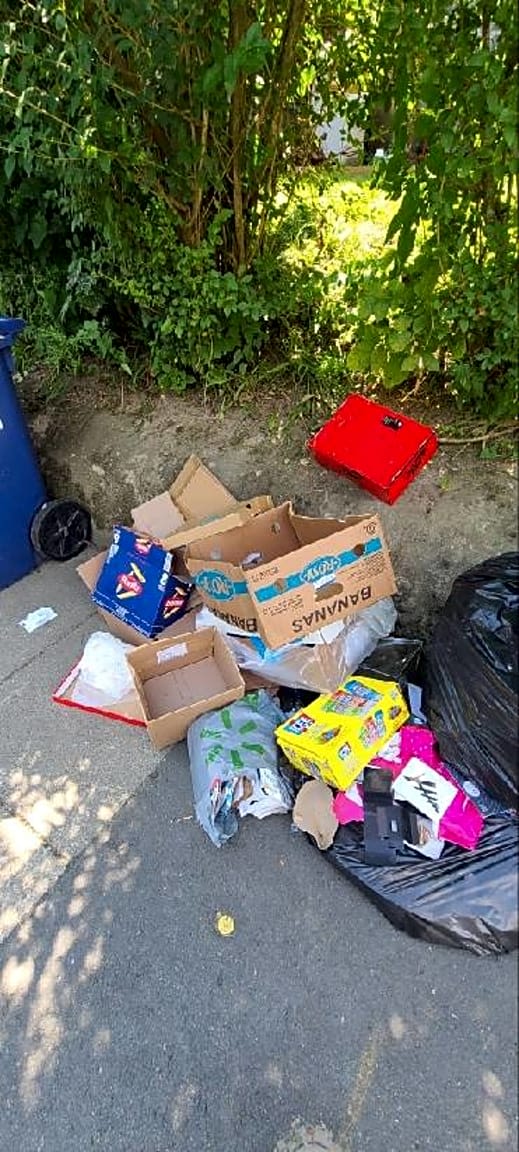 Image submitted with report