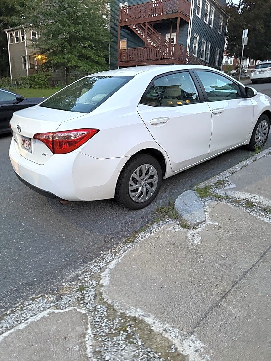 Image submitted with report