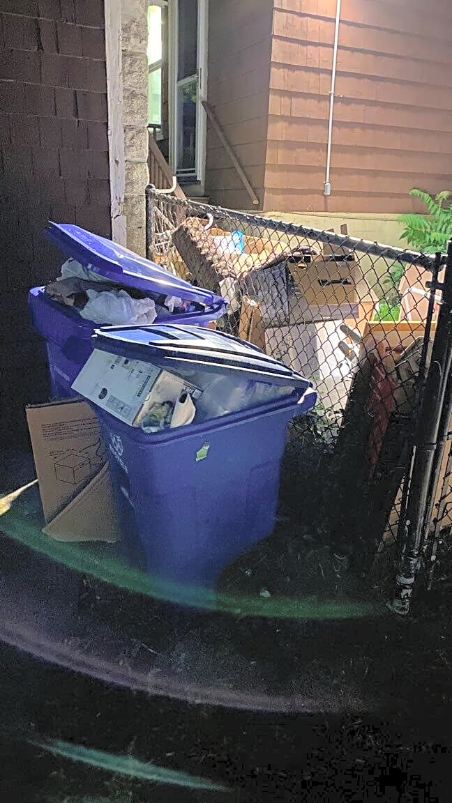 Image submitted with report