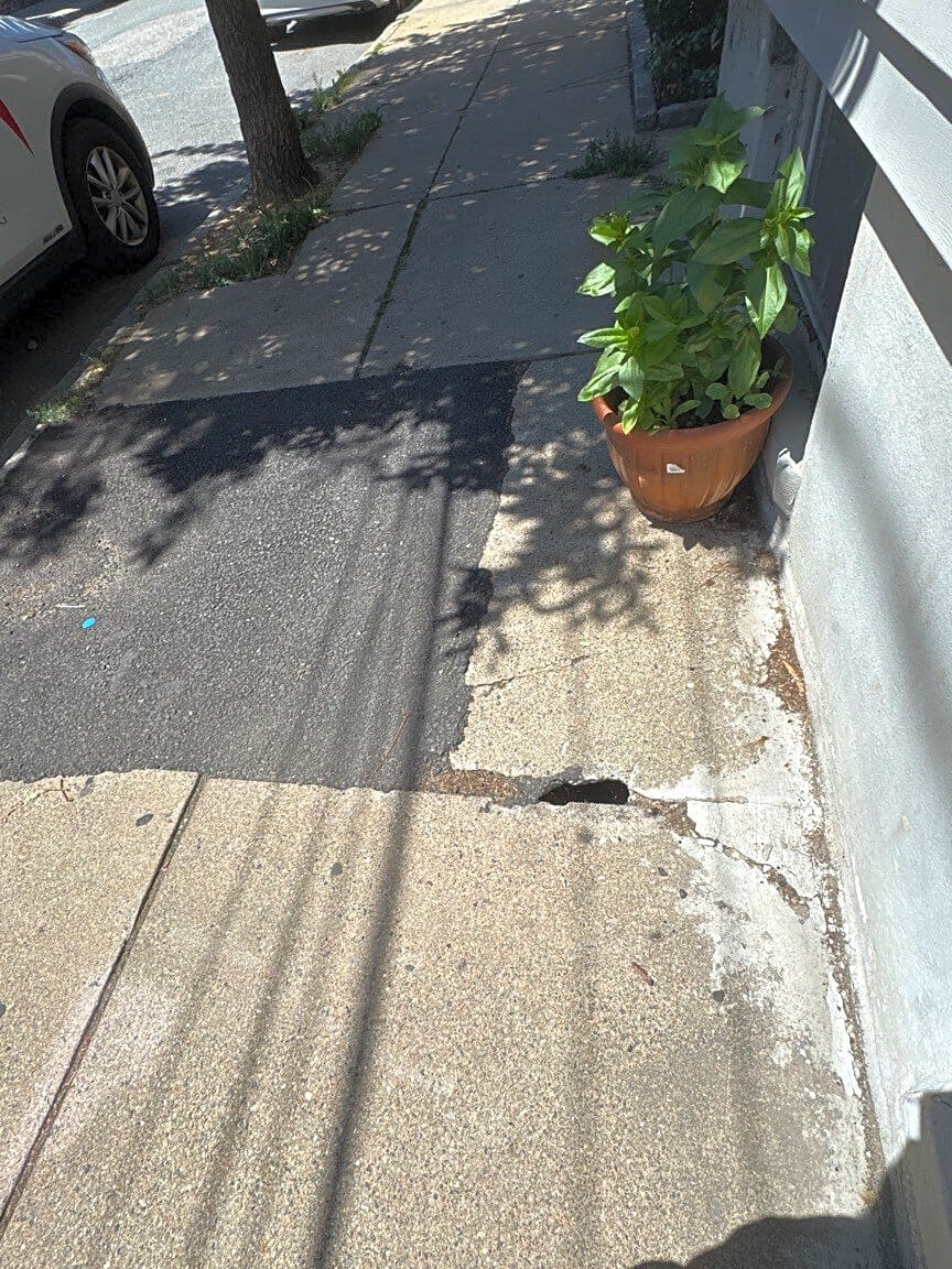 Image submitted with report